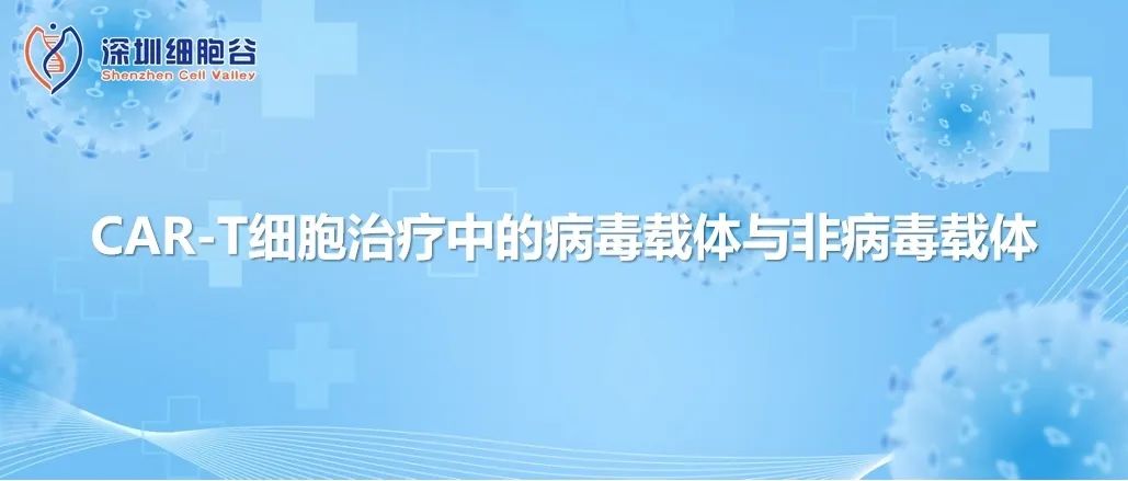 CAR-T細(xì)胞治療中的病毒載體與非病毒載體