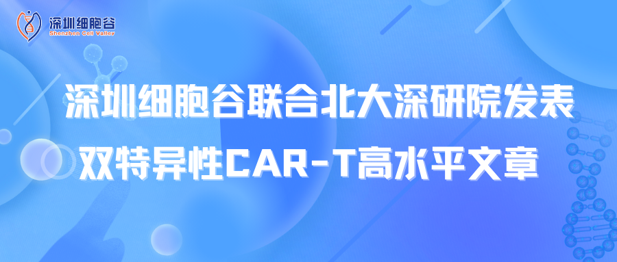 喜訊丨深圳細胞谷聯(lián)合北大深研院發(fā)表雙特異性CAR-T高水平文章