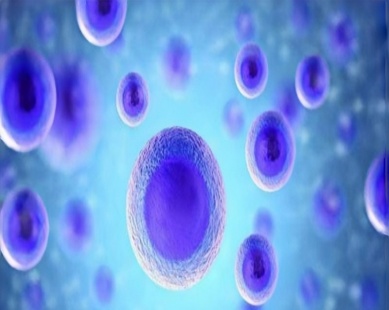 干細(xì)胞外泌體